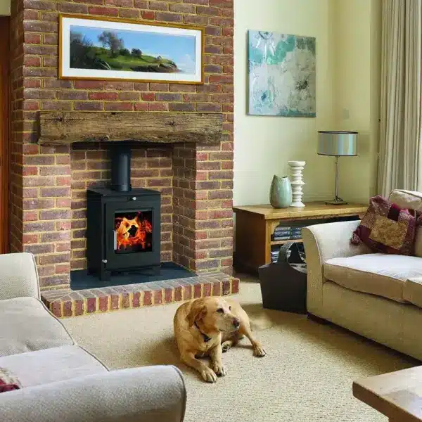 Eco Stove Woody 5 Multifuel Stove