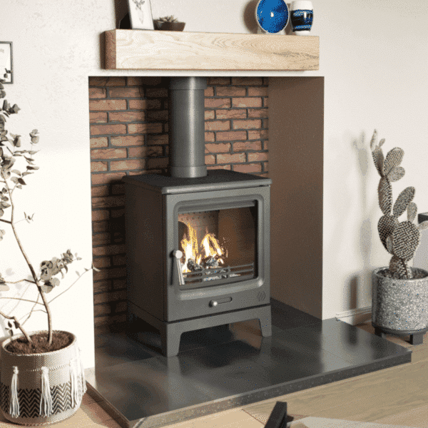 Vue Portrait Wood Burning Stove