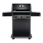 Rogue 425 Freestanding