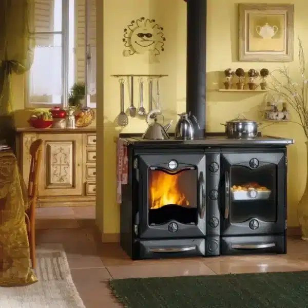 La Nordica America Wood Burning Stove