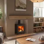 FireFX Eton 5 Woodburning Stove